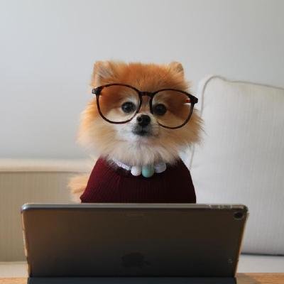 Eduardo03787044's profile picture. Software developer