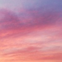 ラストリゾート(r) (@r41963523) 's Twitter Profile