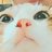 みけねこのアイコン