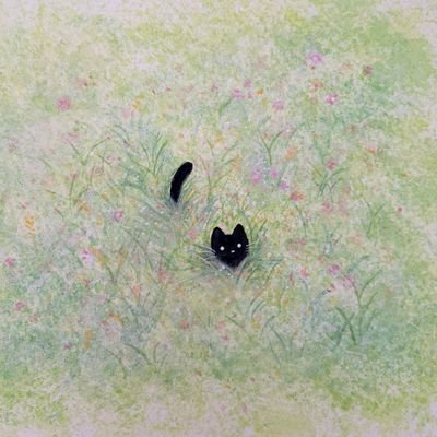 wisterk//meowさんのプロフィール画像