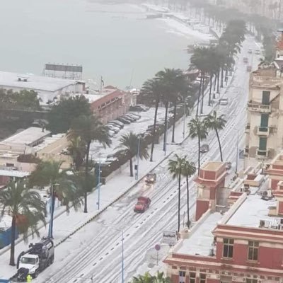 manhabas's profile picture. 