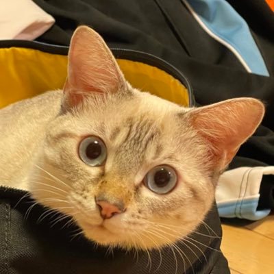 goto1642's profile picture. 