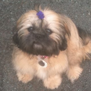 HELENBELBIN's profile picture. 