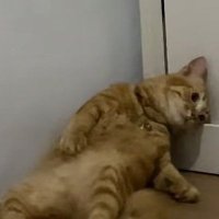 januari (@symldpe) 's Twitter Profile