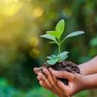 Maina Muniafu (@mainamuniafu) 's Twitter Profile