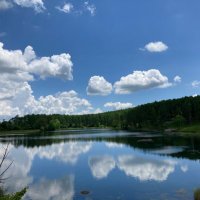 は や (@ymk0303yel) 's Twitter Profile Photo