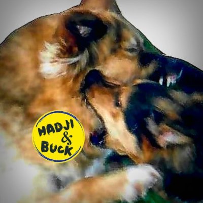 robertwestberg's profile picture.