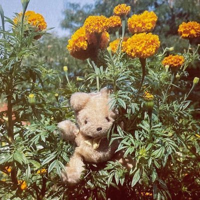 real_vivid391's profile picture. 