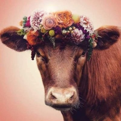 AyeYkse70304609's profile picture. 