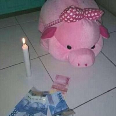 telur_babi's profile picture. muggle