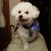 GAnders (@garyprofand2) 's Twitter Profile