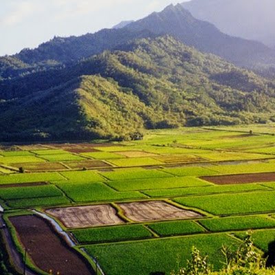 garsnextdoor's profile picture. 