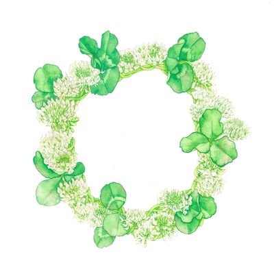 イラストレーターのトウドです🍀
植物を専門的に描いております🖌️
アナログ水彩orデジタル
お仕事ご相談はHPまたはDMにて
画像の無断使用を固くお断り致します
https://t.co/nfTPodGElI
https://t.co/meuCX6XurH