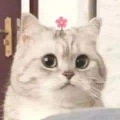 ybs34896122's profile picture. GW
NR