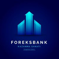 Tolgahan Çakır(@foreksbank) 's Twitter Profileg