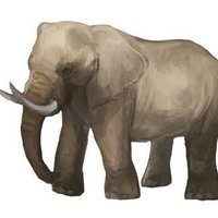 ラバー (@rubber_slot) Twitter profile photo