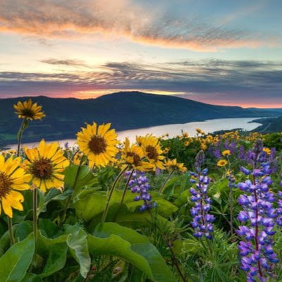 jitendr51286565's profile picture. Hello