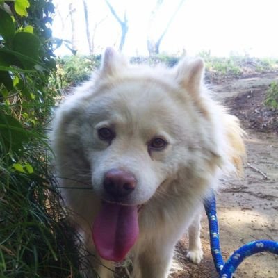 thitanherios's profile picture. 茨城県の県南に住んでいます。
amebloでブログを書いています。
記事の内容は地元の話が大部分です。