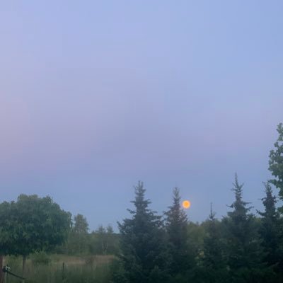 pjm_zj's profile picture. 