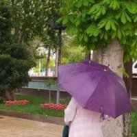 Zümrüd-ü anka 🕊 (@zmrut_anka) Twitter profile photo