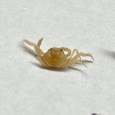 ろっと東山さんのプロフィール画像