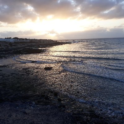 OLO49171354's profile picture. 