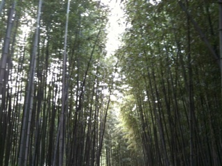 arumnara's profile picture. 아름다운 세상, 사람다운 세상, 1%보다는 99%가 행복한 세상을 꿈꿉니다.