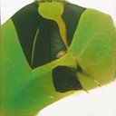 Heidi Bello - @HeidiBello4 - Twitter