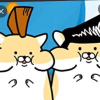 ちー (@chihitterr) 's Twitter Profile
