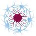 Cancer Neuroscience Heidelberg (@cancerneurosci1) Twitter profile photo Cancer Neuroscience Heidelberg (@cancerneurosci1) Twitter profile photo