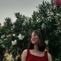 fey (@dfey03) 's Twitter Profile
