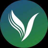 Vitality Physiotherapy and Wellness Centre (@vitalityphysio1) 's Twitter Profile
