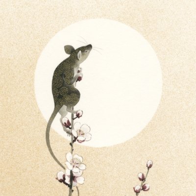 Tadashi URAさんのプロフィール画像