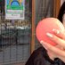 @komekome_5_5