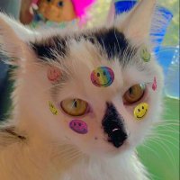 y_sneg 🇯🇵 (@moonfoxexe) 's Twitter Profile
