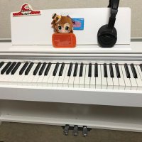 🎼なお♪🎹 (@spring_nao) Twitter profile photo