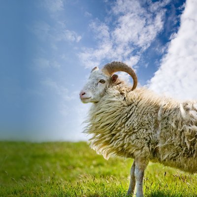 h40gJekEgb76r8e's profile picture. 