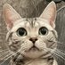 中土智博(めんま🐈⬛さうな🐈あろま🐈) (@remark_spirits) Twitter profile photo 中土智博(めんま🐈⬛さうな🐈あろま🐈) (@remark_spirits) Twitter profile photo