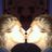 claralaguillo's profile image