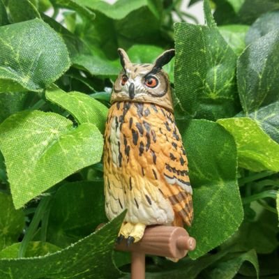 enduEndoh's profile picture. 朗読劇・音声作品CD　　音声訳　　邦楽好き　　劇伴オケ・合唱団の呟きは別場所で
