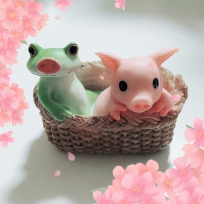 (๑•🐽•`๑)ぶぅさんのプロフィール画像