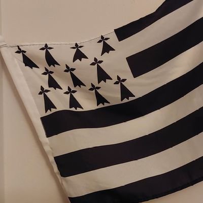 VincentPertue's profile picture. 60 ans. Breton-Rennais d'origine. Nantais maintenant depuis longtemps. Policier en retraite. Ex OPJ pour finir après un parcours riche.