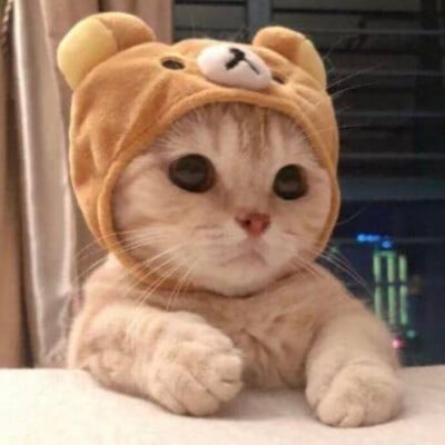 globalec_'s profile picture. 中国輸入始めます！！！月収60万をまずは目指したい！