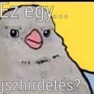 car_kch's profile picture. Asd