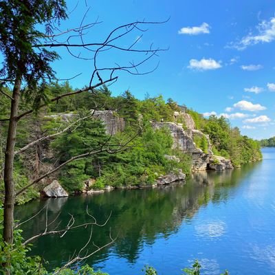 BelakhdarOkba's profile picture. Economic therefore Political stability.