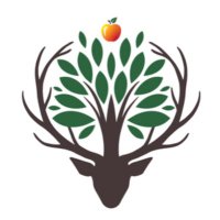Appleton Roebuck Primary School (@aproprimary) 's Twitter Profile