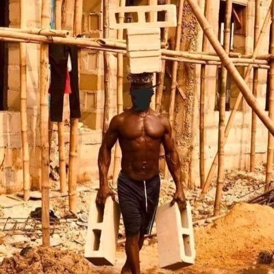 DeclanBeanss's profile picture. Petlover