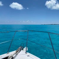 Joe (@debojoe7) 's Twitter Profile