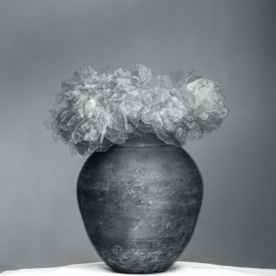 JennyNeale11's profile picture. I love photography! Black and white, isolated subjects, textures, symmetry, landscape, closeup, but always with a strong sense of composition