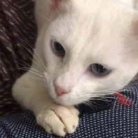 emrahpınar🦅 (@emrahp_nar) 's Twitter Profile